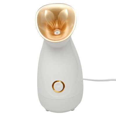 Portable beauty equipment home use facial steamer for sale