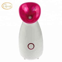 Handheld hot beauty salon equipment mist face sprayer hot facial steamer for personal skin care at home